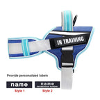 No-Pull Reflective Dog Harness