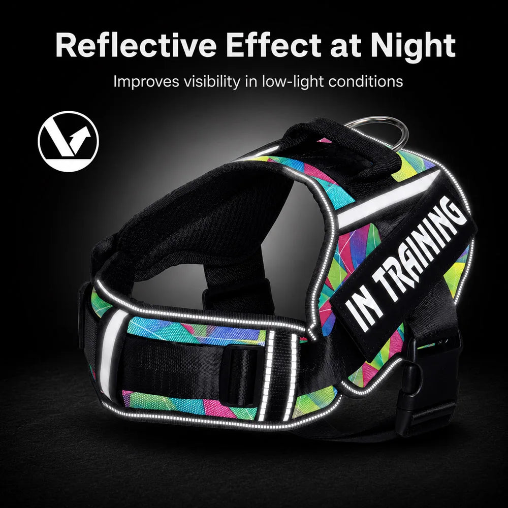 No-Pull Reflective Dog Harness