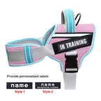 No-Pull Reflective Dog Harness