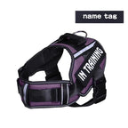 No-Pull Reflective Dog Harness