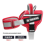 No-Pull Reflective Dog Harness