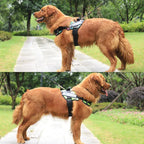No-Pull Reflective Dog Harness