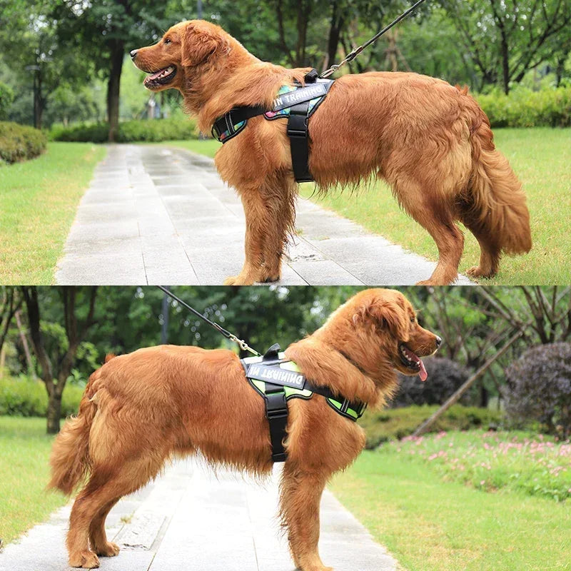 No-Pull Reflective Dog Harness