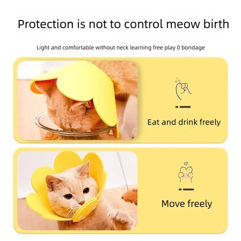 Flower Pet Recovery Collar