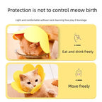 Flower Pet Recovery Collar