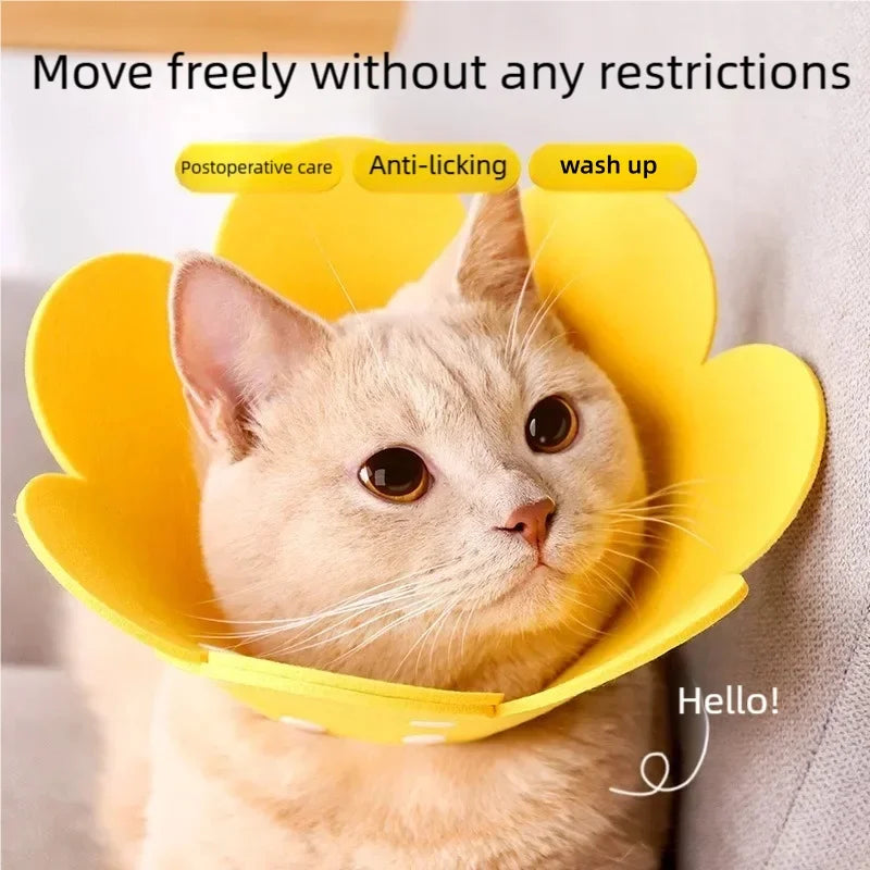Flower Pet Recovery Collar