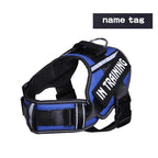 No-Pull Reflective Dog Harness