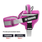 No-Pull Reflective Dog Harness