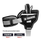 No-Pull Reflective Dog Harness