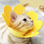 Flower Pet Recovery Collar