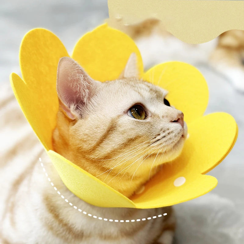 Flower Pet Recovery Collar