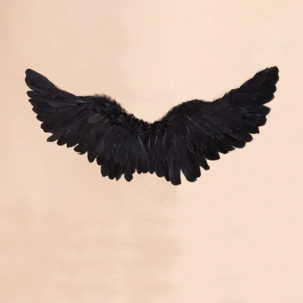 Feather Angel Costume Wings