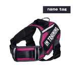 No-Pull Reflective Dog Harness