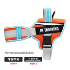 No-Pull Reflective Dog Harness
