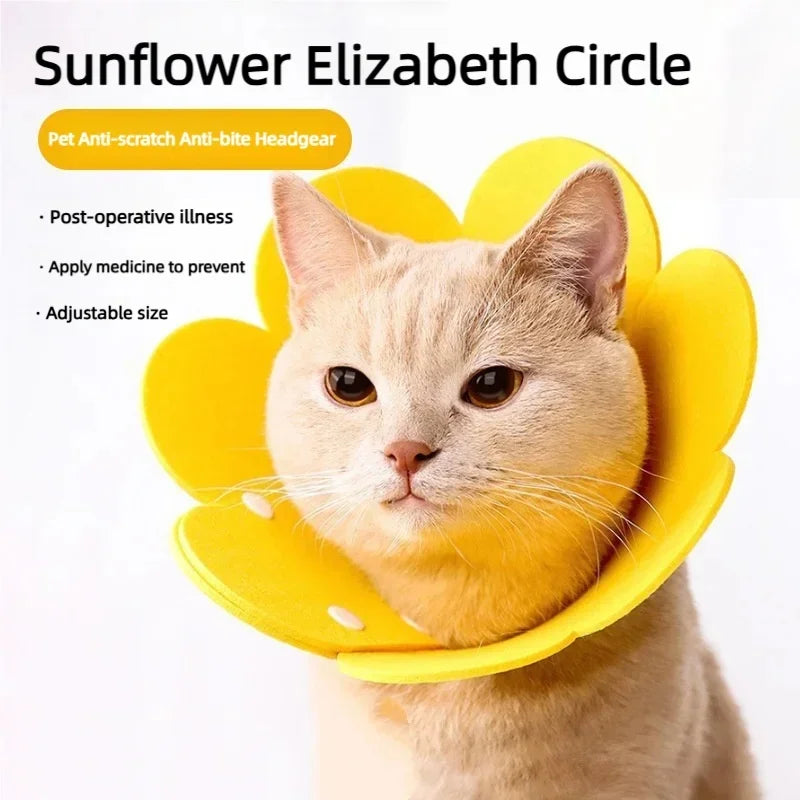 Flower Pet Recovery Collar