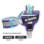 No-Pull Reflective Dog Harness