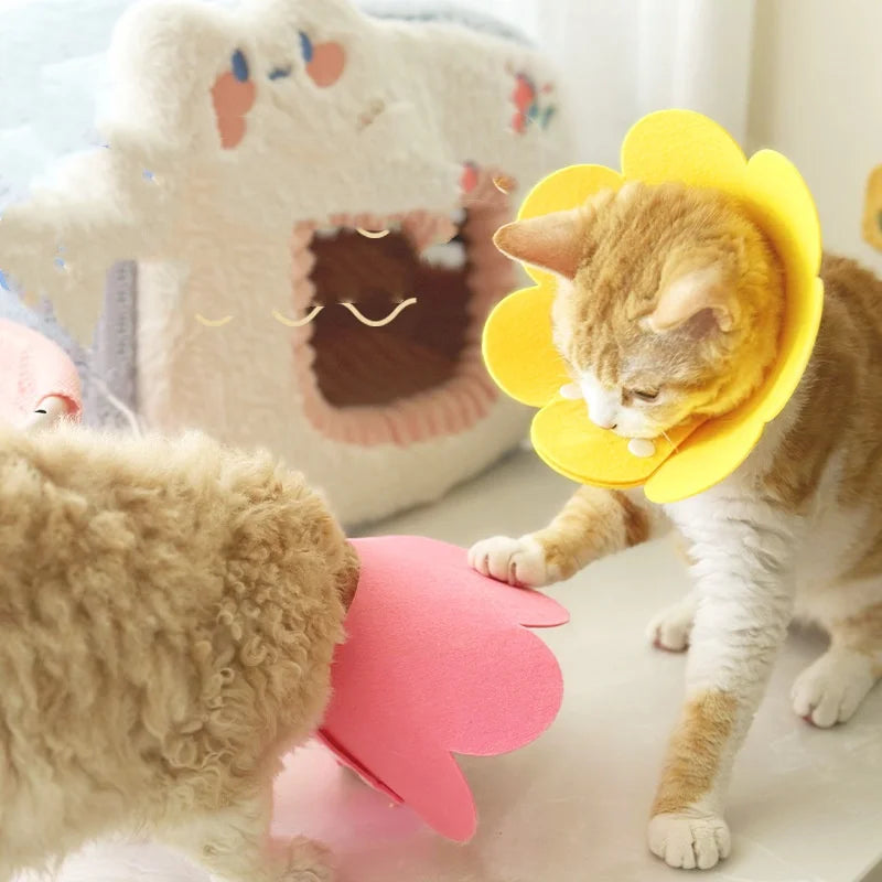 Flower Pet Recovery Collar