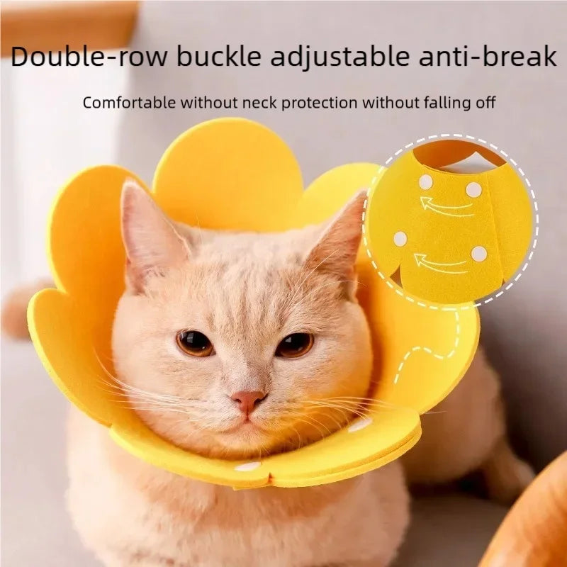 Flower Pet Recovery Collar